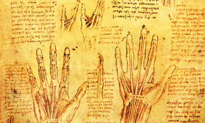 codex de Léonard de Vinci