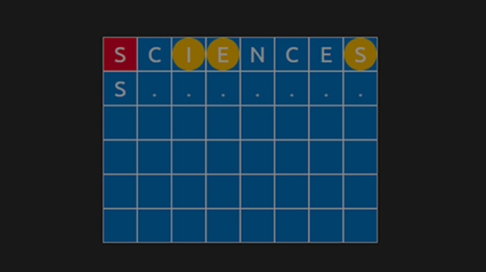 grille du jeu