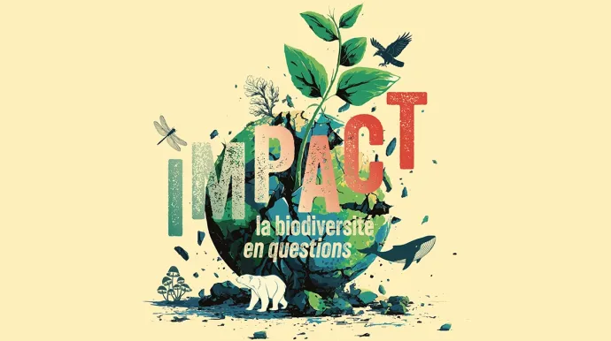 visuel de l'exposition IMPACT