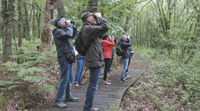 Participants à l'Ecole d'ornithologie de la LPO