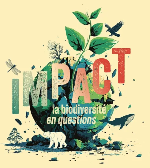 visuel de l'exposition IMPACT