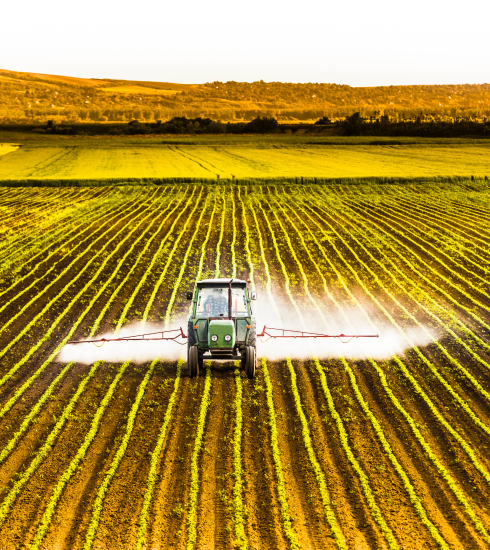 Photo d'un champs agricole